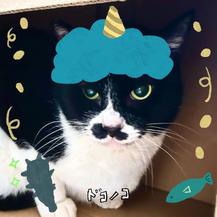 A243394f cea0 43b2 90e8 8223c4bc3e6a 1706762381092