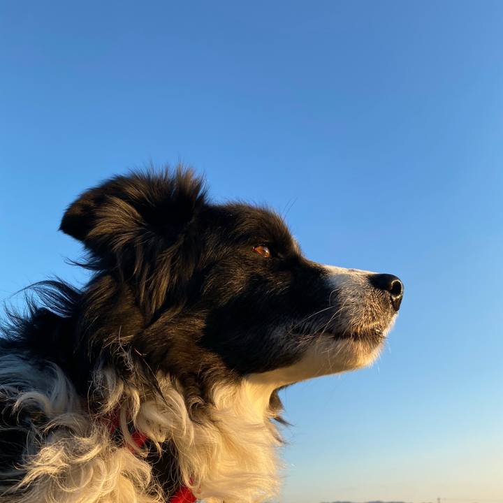 A2434600 74f0 4805 afb2 acf330d346db 1641111399566