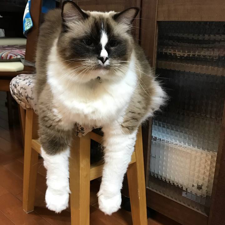 A2435222 45af 43a3 a1c6 d43da96b6dab 1513316168510