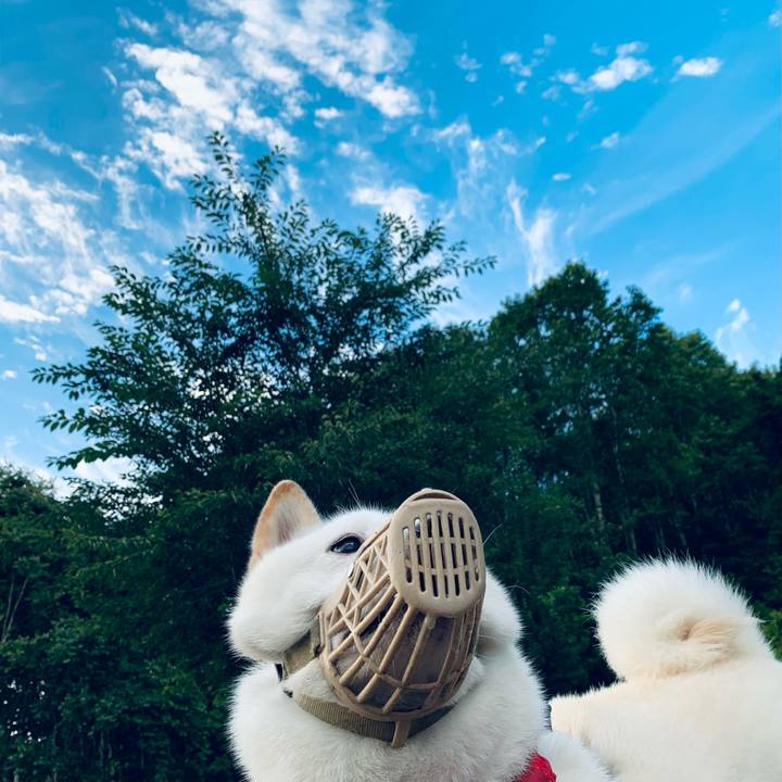 A2435cf7 3a0e 45b6 bdb5 19b595dcf940 1661374548420