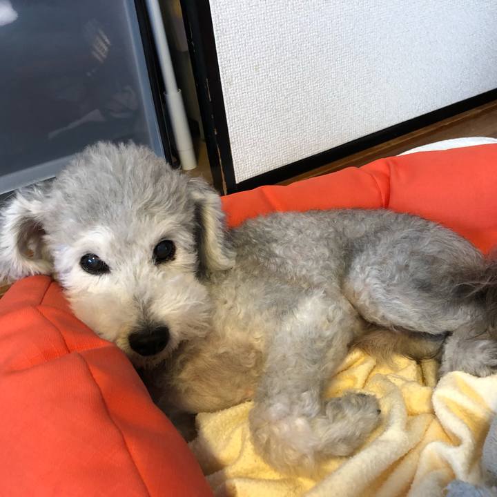 A243712a cc1e 426d b56d 46088014685a 1566773360164