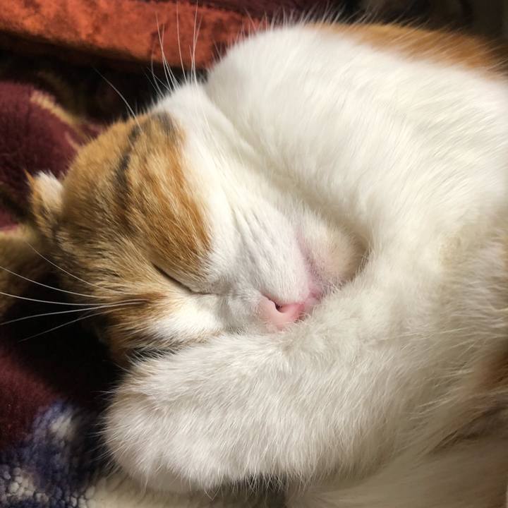 A2438b6b 57bb 4366 bb94 4258ec2375a7 1544791259889