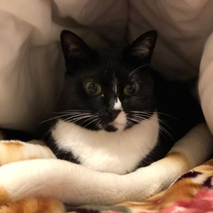 A243cc88 7c59 4619 9de4 9c76e50cbbde 1580248331756