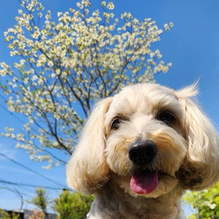 A243d6aa 5778 4a96 b25b 1f60038216ab 1776134060192