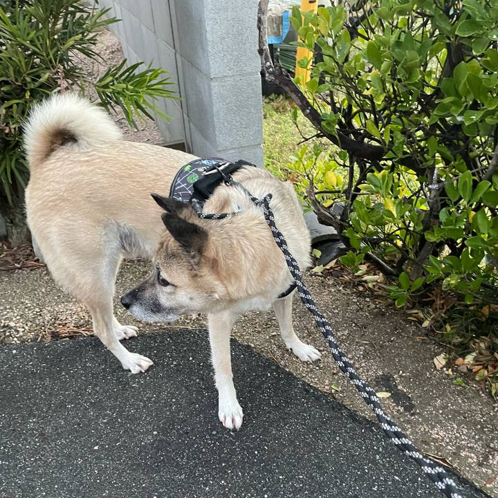 A243edc4 b3ff 4cc2 a003 4d7a04df013a 1733143468099