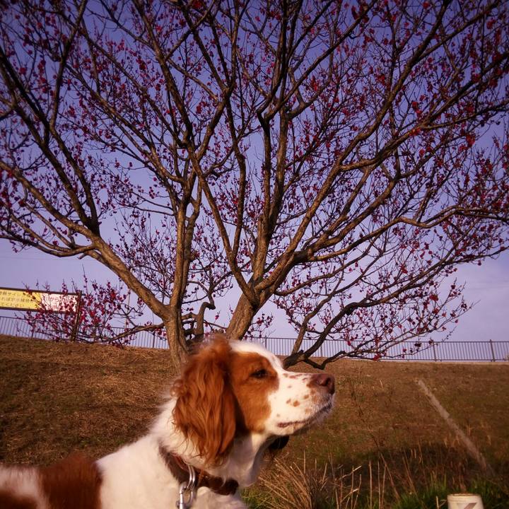 A243fbea 26c9 4215 b305 e3a45db54c49 1519808022070