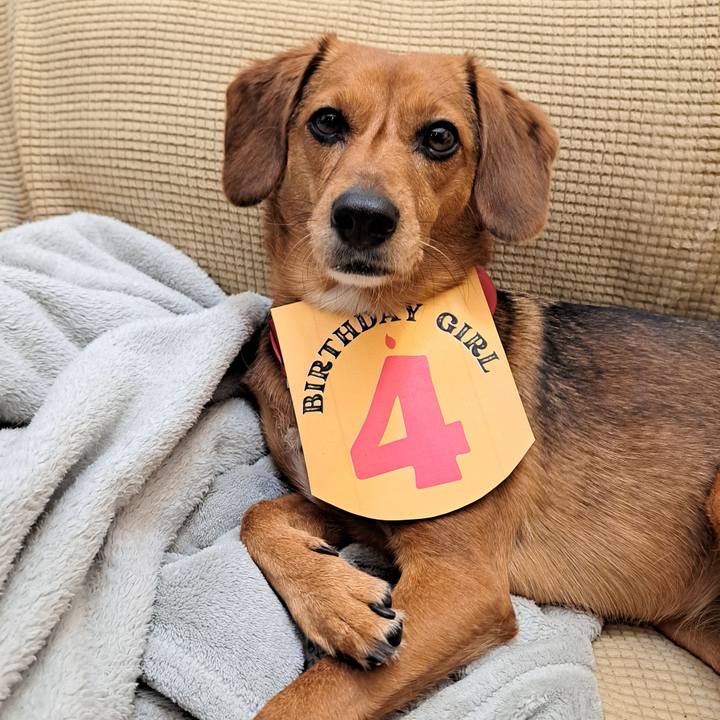 A24446fb a0d7 4ac7 b8fe 42b77e228653 1761691131865