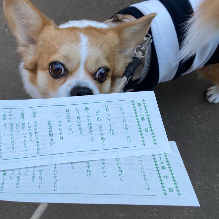 A244b5c6 d236 4241 b4da d3ba7c8930ec 1672634736157