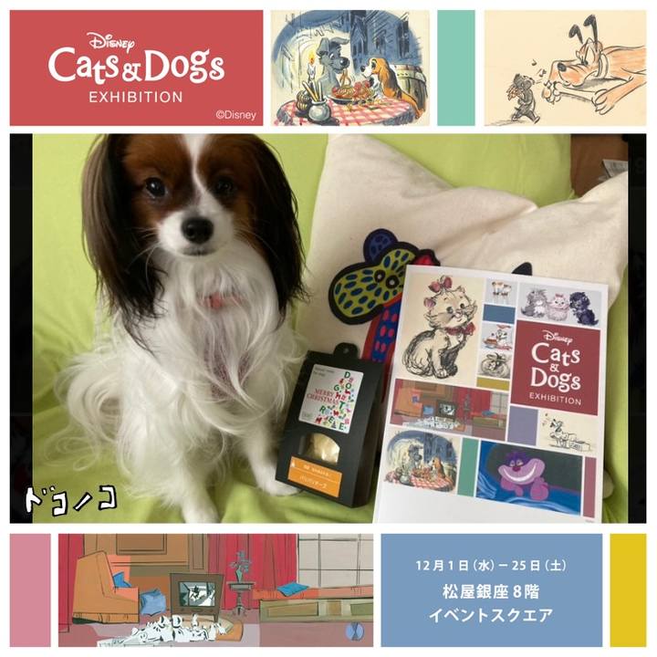 A244dc38 7813 426a a7c5 84358fe4b5ae 1640047987631