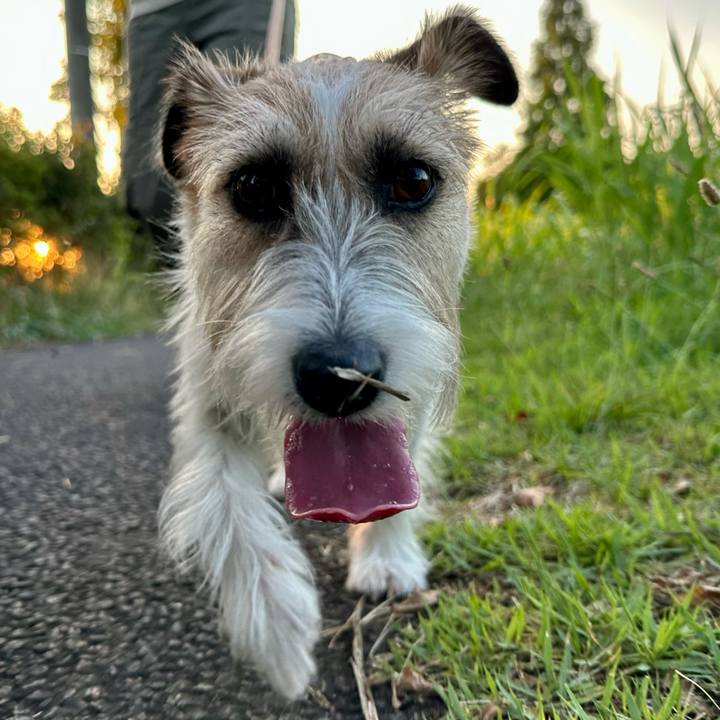 A244e91a f71f 46b1 8c78 1afc337e23af 1689594409658