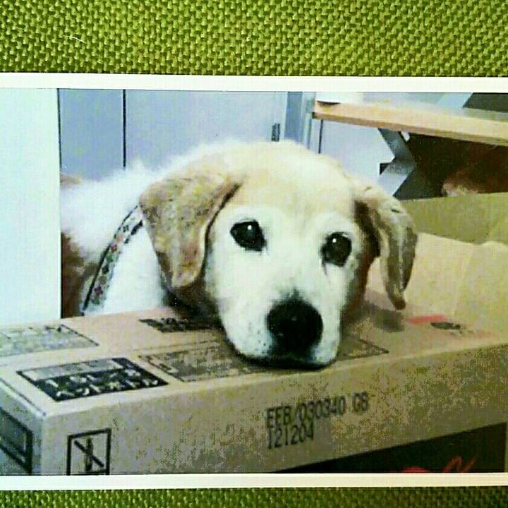 A24503a8 9130 480b 9a48 d12f65b7d01f 1526690328961