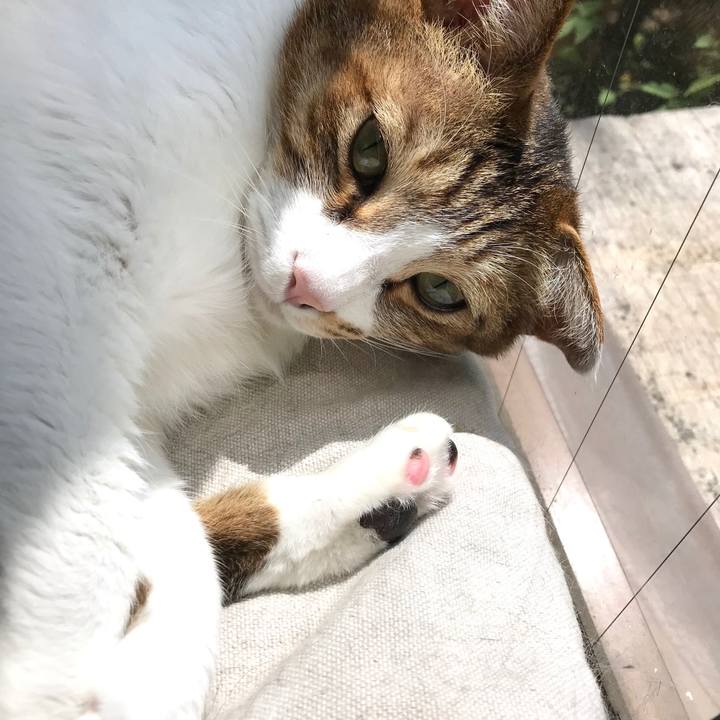 A2450e58 5b84 41aa 85ea e2e088db9cad 1555730908199