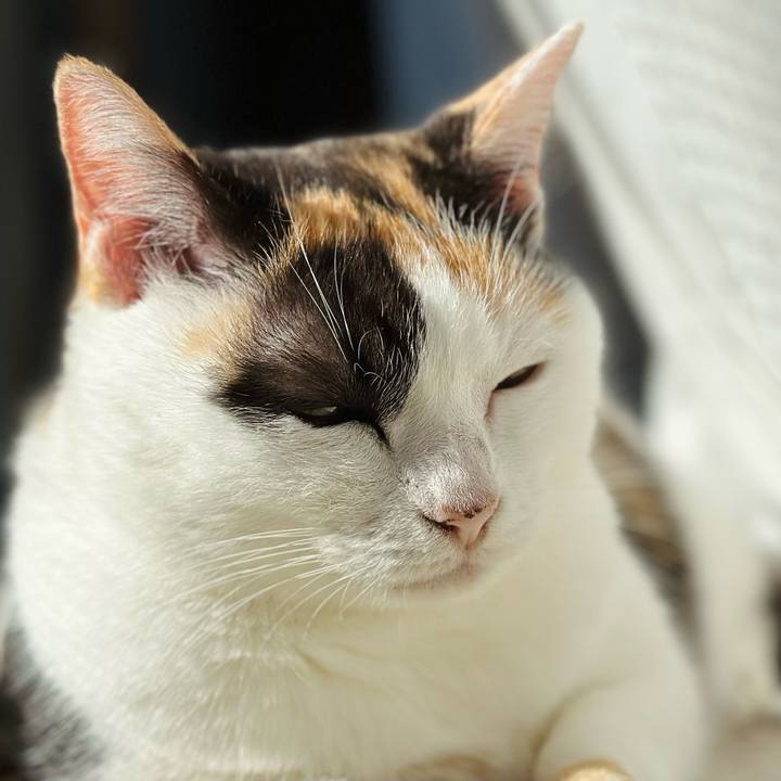 A2451ced b01b 4a86 b3c5 f3aae94580fd 1667613659187