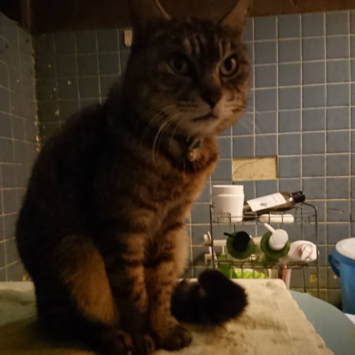 A2453989 dcab 40bd a2b3 0b294a0cd5ca 1558607204491