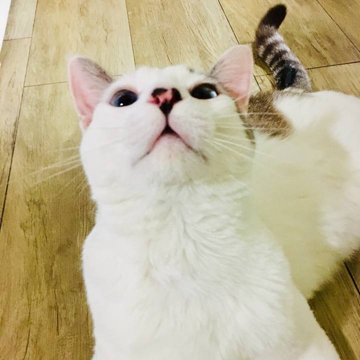 A245777d d9f4 46c7 b3c5 a00f263532b0 1557926831129