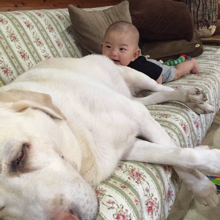 A245c417 df16 40b5 9c3b 8bb38f50a517 1514945746024