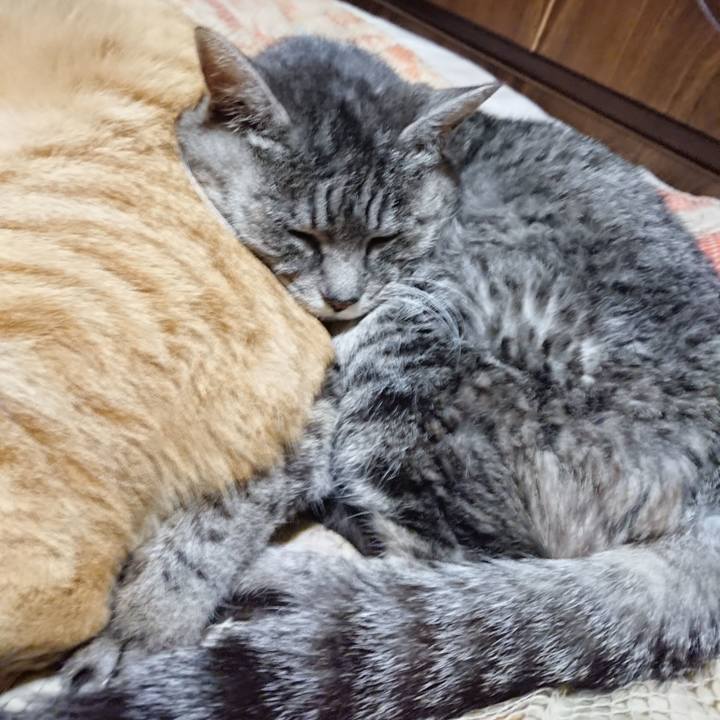 A245d8b1 a9ec 48a0 bda1 aaf8df69da68 1577626803293