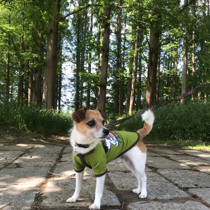 A245dafc e313 47d1 9a14 258fdb8e9005 1525405121014