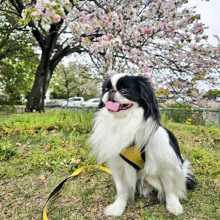 A2461375 a94f 4940 8ae4 7be554c3228a 1713441734394