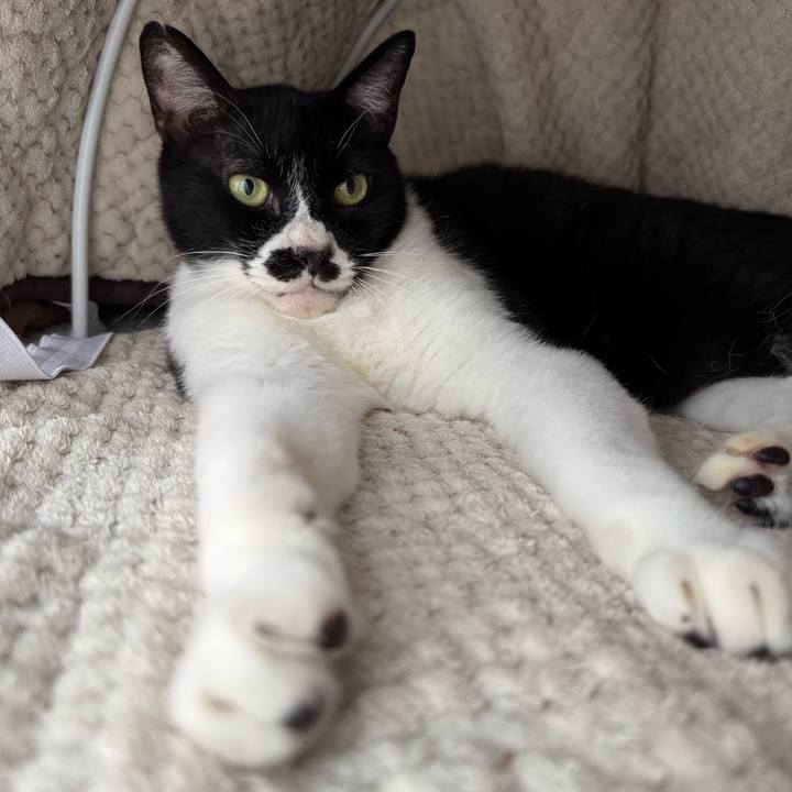 A2465d64 e82b 452a af2f e8f2e818b233 1749778774297