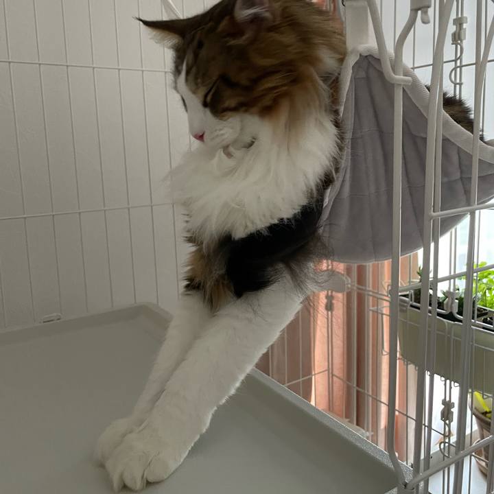 A246f646 1f1b 47da 93bc 648a760ac1df 1657935519439