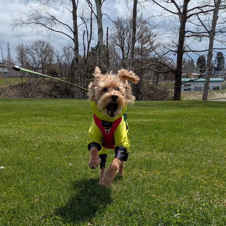 A24701d6 bb5f 4e91 81f7 37aa5ed1417c 1745739825239