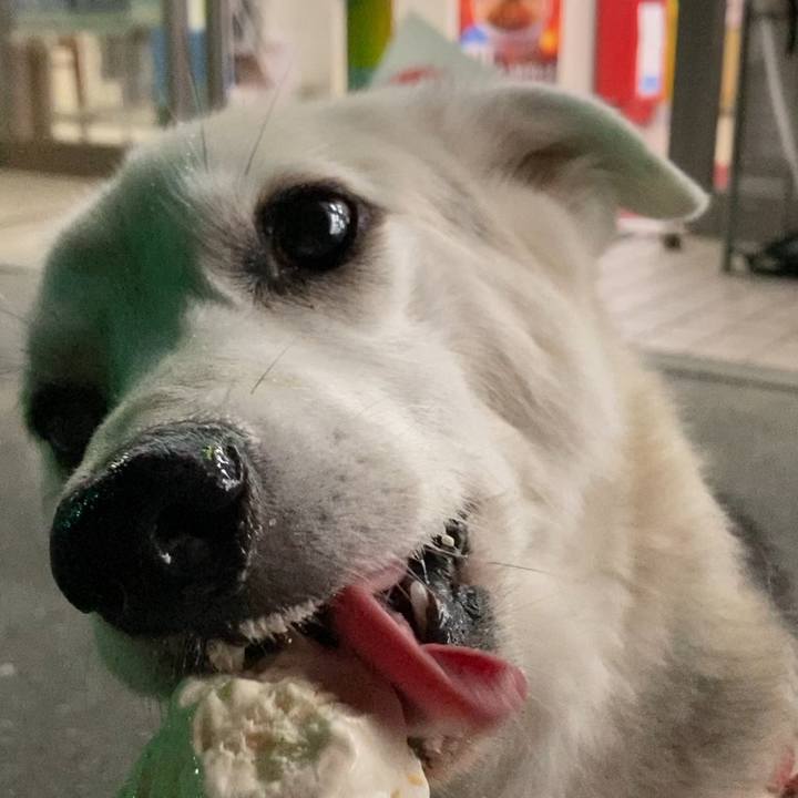 A24706e2 5c89 4d2e a68c e5ba2222e592 1627094721674