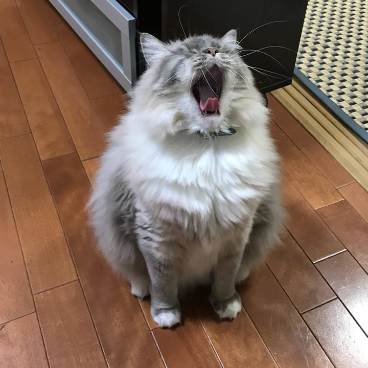 A2470f33 ee2f 4033 a456 a19b88846ac4 1514286256459