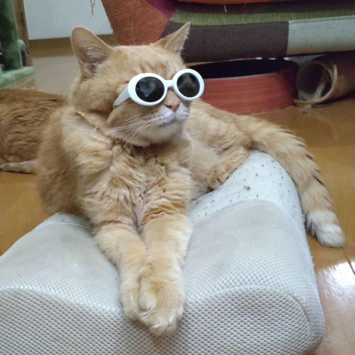 A247155d 9626 4c5d 81b7 3a1615b9ca66 1690374510513