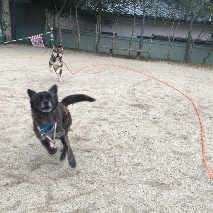 A2475dd8 a9b0 43cc 830d 2886188fa31f 1511620137924