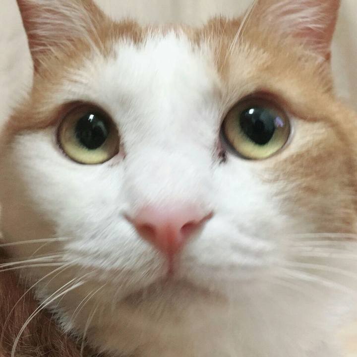 A247b7a0 5a93 42fd 9f27 b4fc9ed39fb7 1515249903243