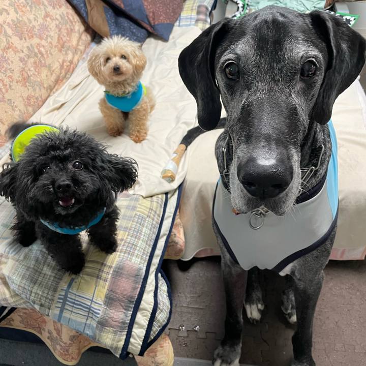 A247c300 2a1e 4150 8ade f9d4912b6e9e 1651015200973