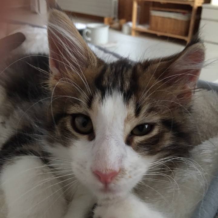 A247f3da 77b9 4dc7 b694 592e43acc689 1631947835333