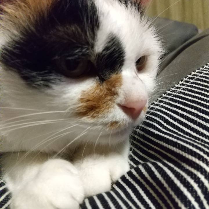 A24823a2 c8b8 4e47 af0a 7abdeb2f0dd2 1595337877366