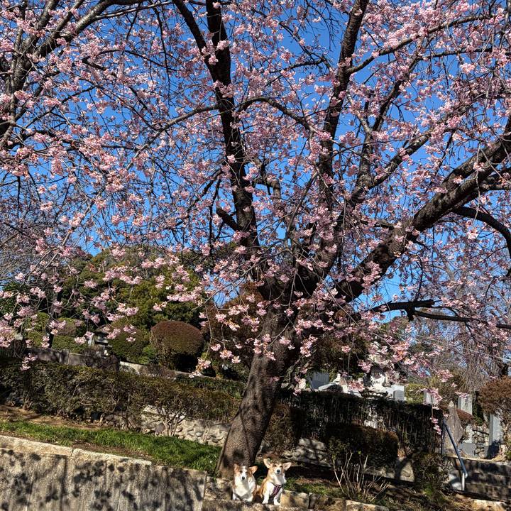 A248275a a4a1 4a83 9128 44a623c0506c 1773359752258