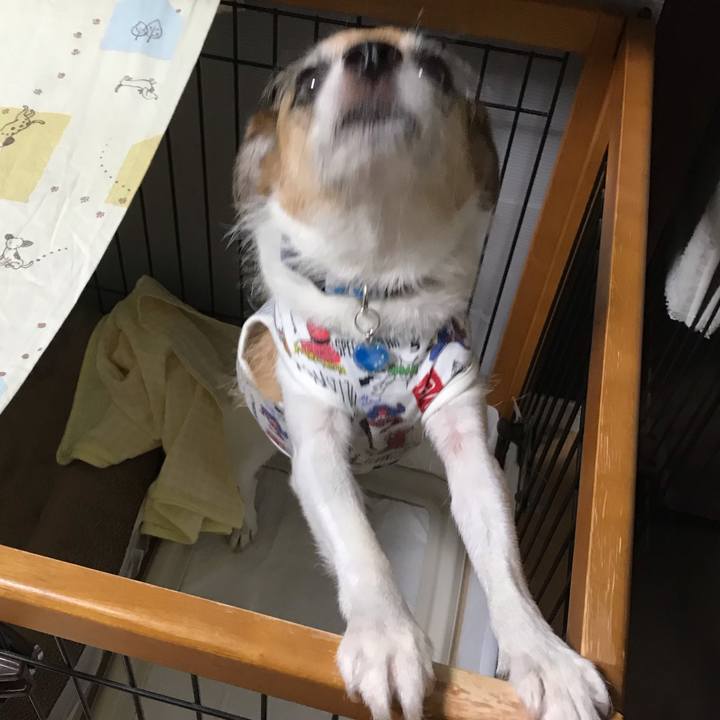 A2482c50 d7de 46c2 9d4e 9f50289aa22c 1568584998589