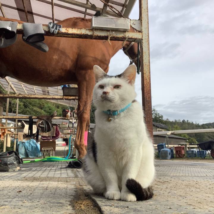 A248331b 5258 416a af8a 42c9e3ef209e 1604234156410