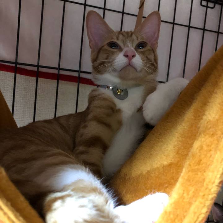 A2483471 6feb 4bea 83d0 858ea1349f99 1545652461275