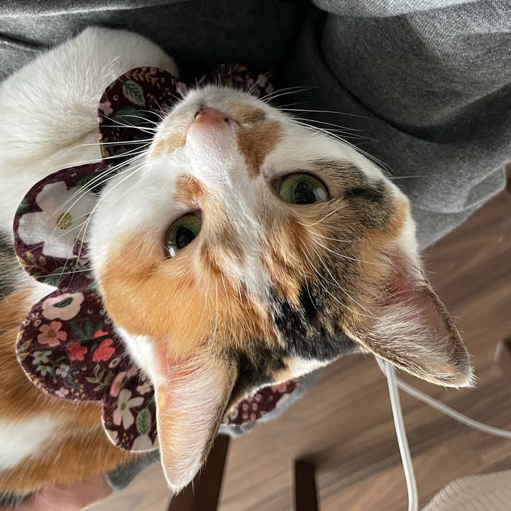 A2487e54 5cff 4dbd 85e6 82219aec3bbd 1742102030064