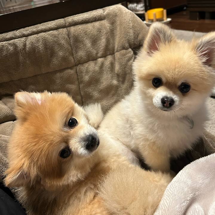 A2489a61 b23f 4a71 bb3e 159be475ad8e 1764852563679