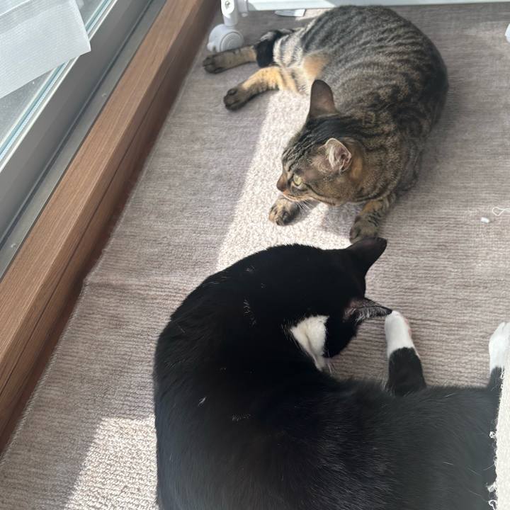 A248b575 caaa 4f76 8b9f 212d6e50ee5e 1765676614914