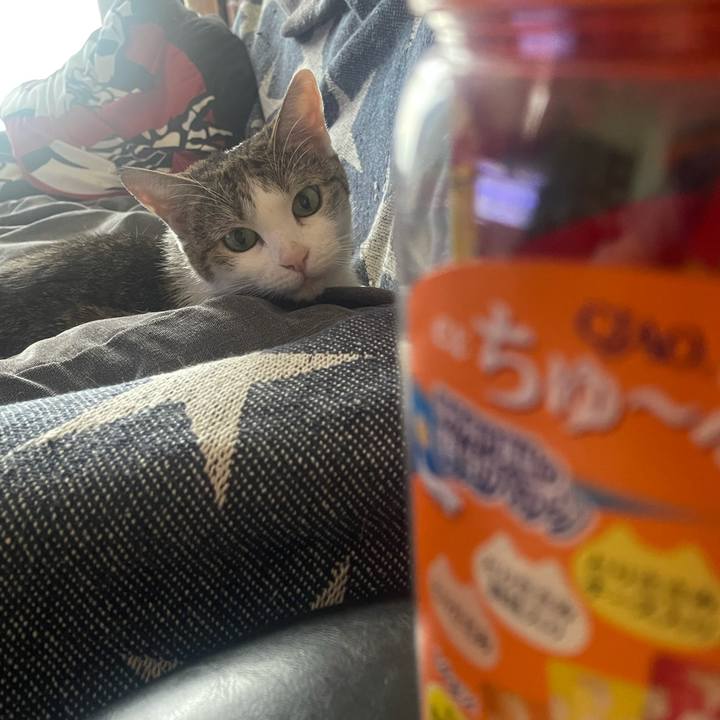 A248d4b3 dabd 4562 b2d9 bdf2cefb4e8b 1627027497458