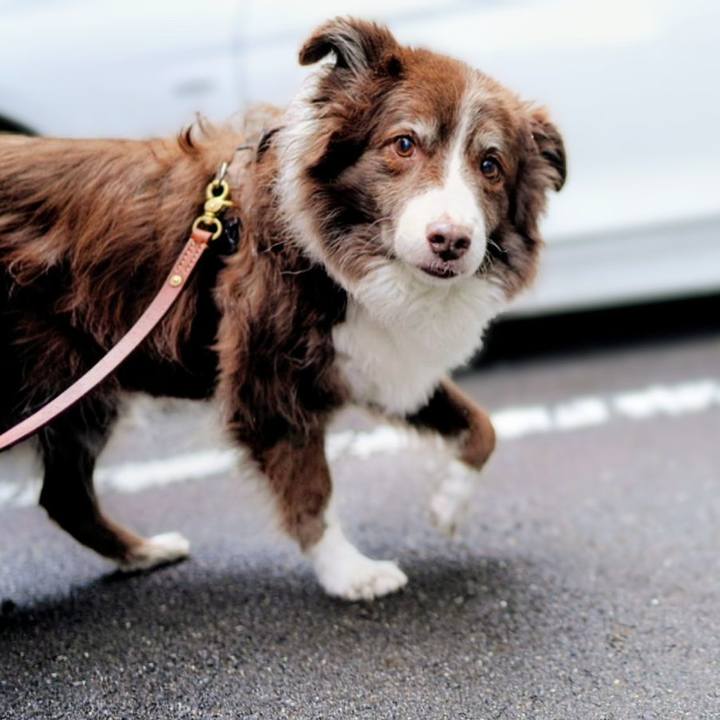 A249048f d446 43fc 950d 473eb1fd94ac 1766195989911