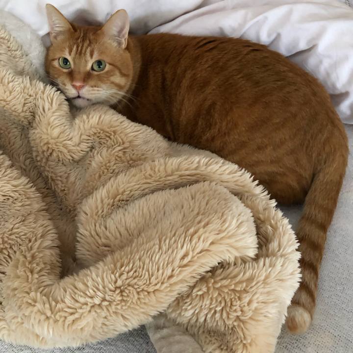 A249198e e08b 4f8c 9f63 e5c3309ef624 1613023432215