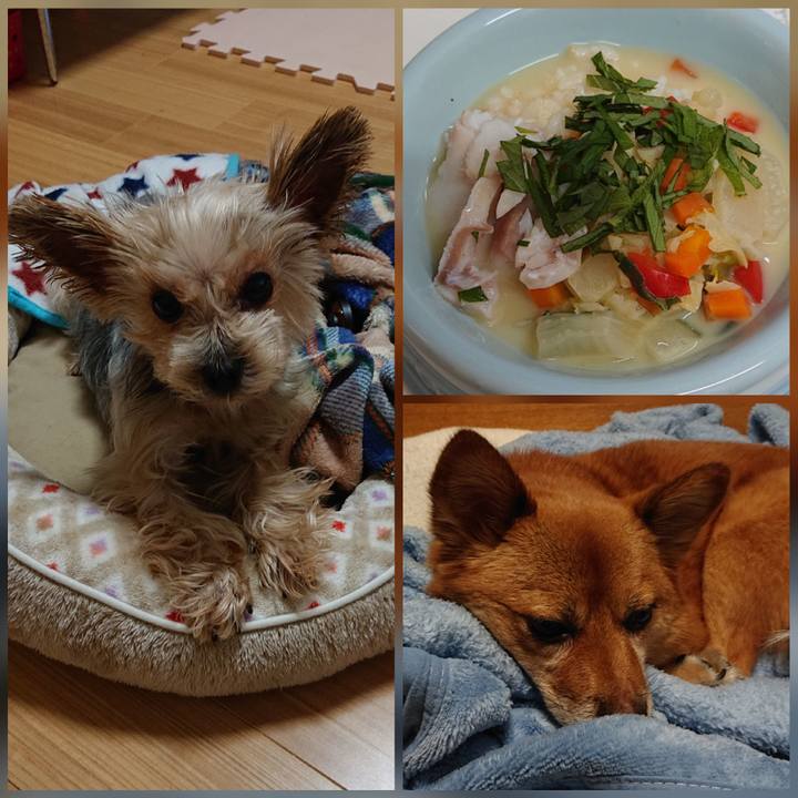 A2492e3e 189f 47ae 97e9 f4e18356649c 1604404395973