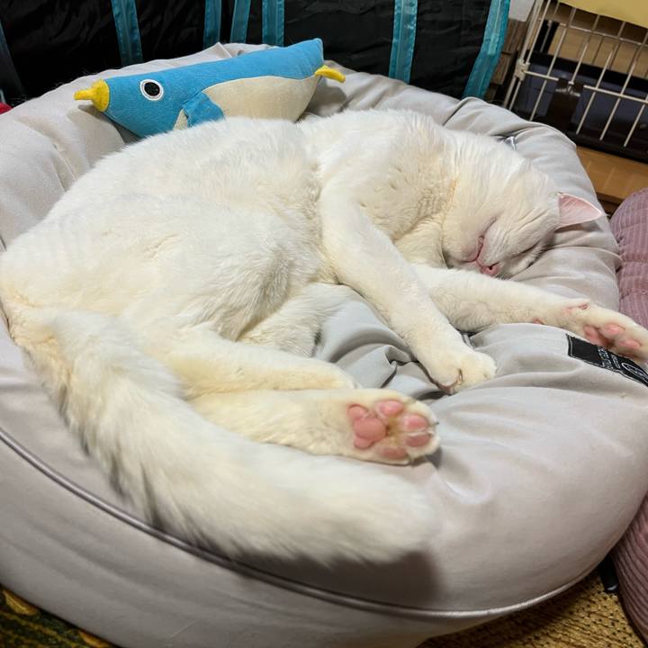 A2493fae c494 489f aa35 dbcd77a5f40a 1670763182773