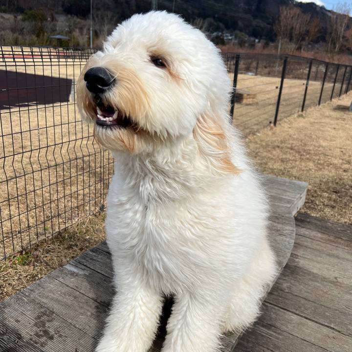 A2494bbf 180b 4fd8 a9d4 7721143a6f69 1741329578928