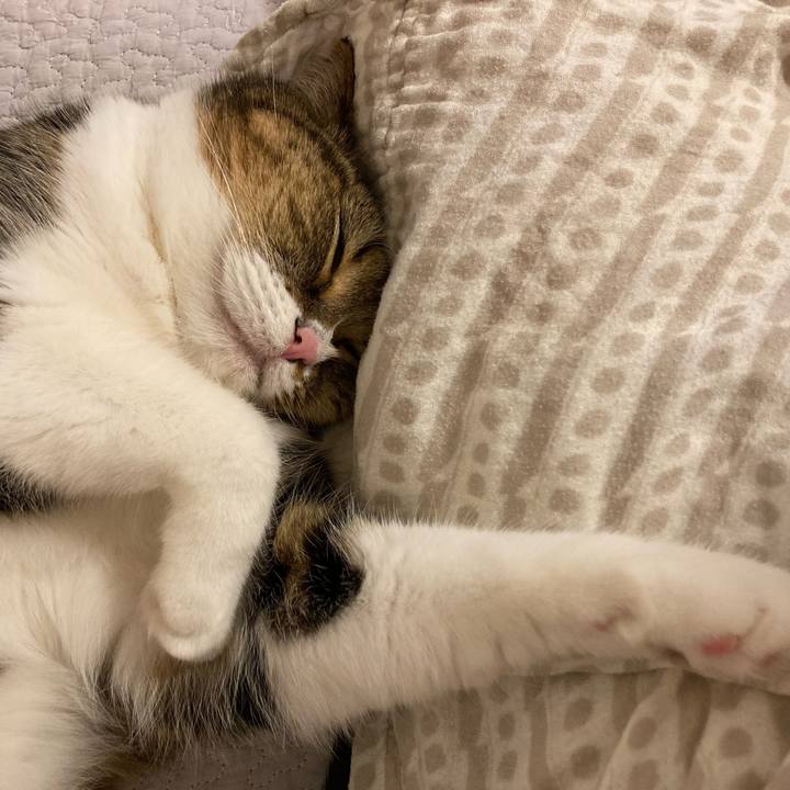 A2496deb b344 42db 8f95 b482da683693 1787733490963