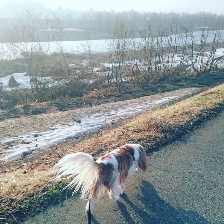 A249789f e2a7 49ef abcc b0fafa53748c 1553552074691