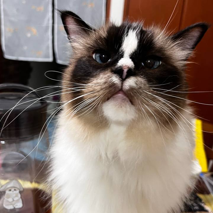 A24979a2 3d0b 4cf0 9612 8c24c218d82f 1691187186486